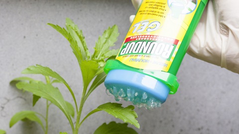 Roundup gel